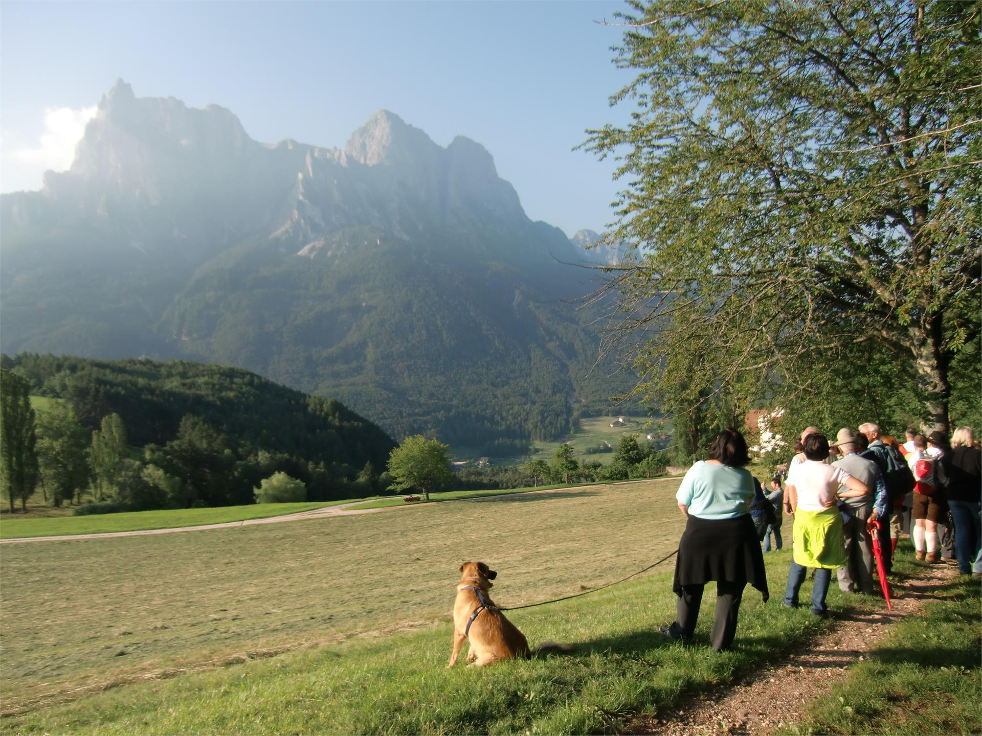 Da Siusi attraverso la Valle Ganar nella Foresta Laranz Castelrotto 3 suedtirol.info