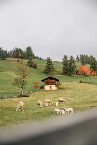 Leichte Wanderung von Vöran nach Hafling - Vöran - #4 - suedtirol.info