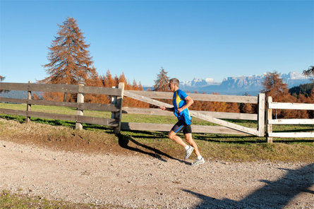 Laufrunde: Soltn Jenesien/San Genesio Atesino 1 suedtirol.info