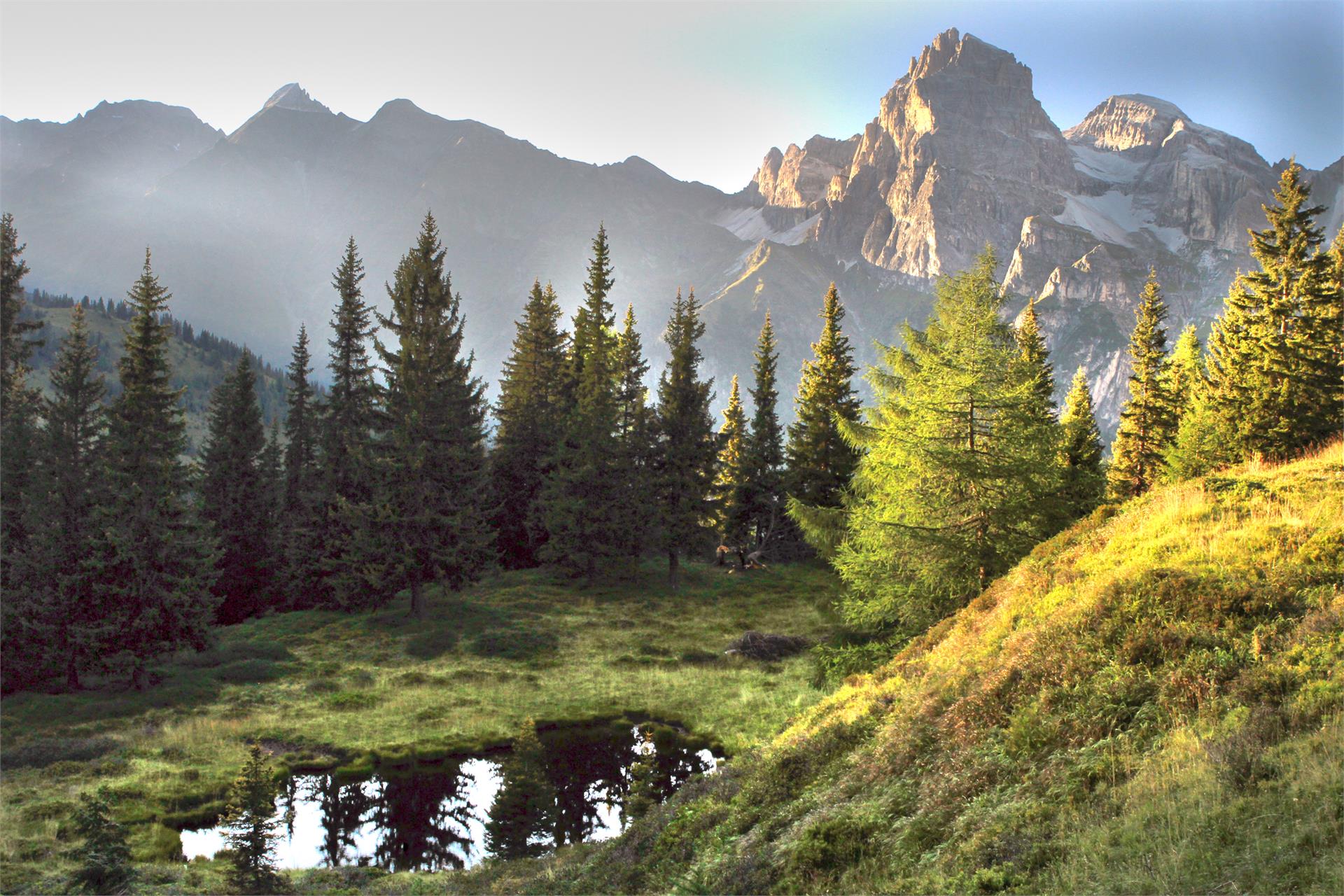 Ladurns circular hiking tour Brenner/Brennero 1 suedtirol.info