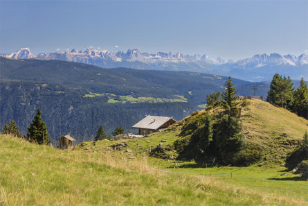 Leiter Alm mountain hut – Taufenscharte pass – Mutspitze peak – Mutkopf restaurant – Steinegg restaurant – Leiter Alm mountain hut Algund/Lagundo 7 suedtirol.info