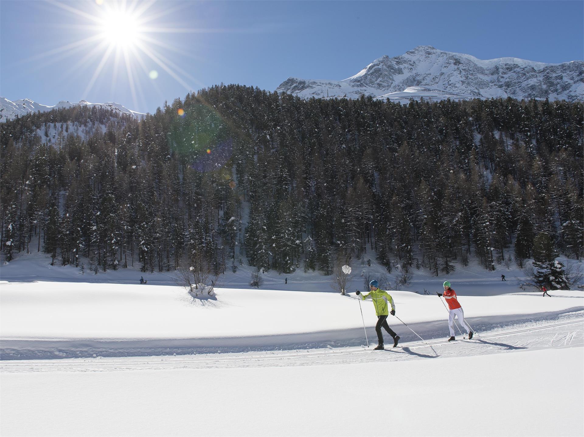 High-Altitude Cross-Country Skiing Trail in Solda/Sulden Stilfs/Stelvio 2 suedtirol.info