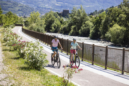 Leichte Abfahrt Aschbach – Mohlboch-Trail Algund 2 suedtirol.info