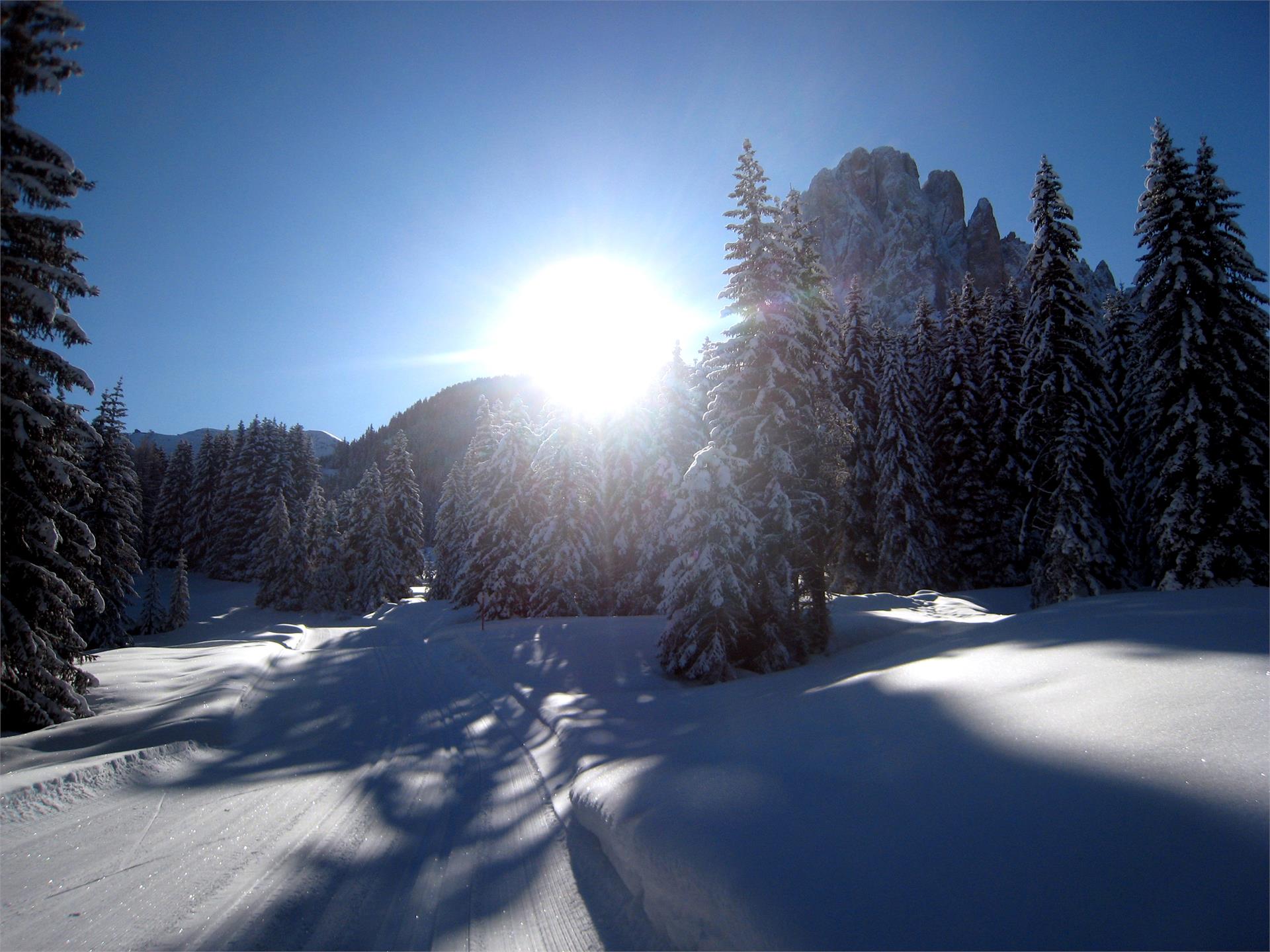 La Buja Santa Cristina Val Gardena 2 suedtirol.info