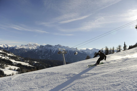 Latemarwiesen Welschnofen/Nova Levante 1 suedtirol.info