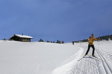 Pista da Fondo sull'Alpe di Rodengo - Luson Rodengo 6 suedtirol.info