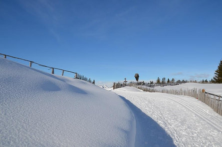 Langlaufloipe Rodenecker - Lüsner Alm Rodeneck 4 suedtirol.info