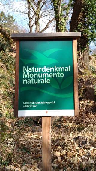 Naturdenkmal Kastanienhain am Schlosspichl