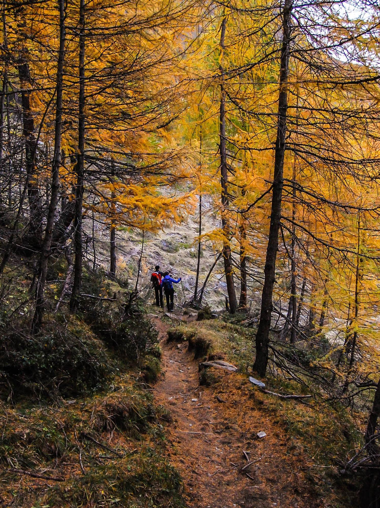 Leitensteig trail: From Meransen to Vals Mühlbach/Rio di Pusteria 1 suedtirol.info