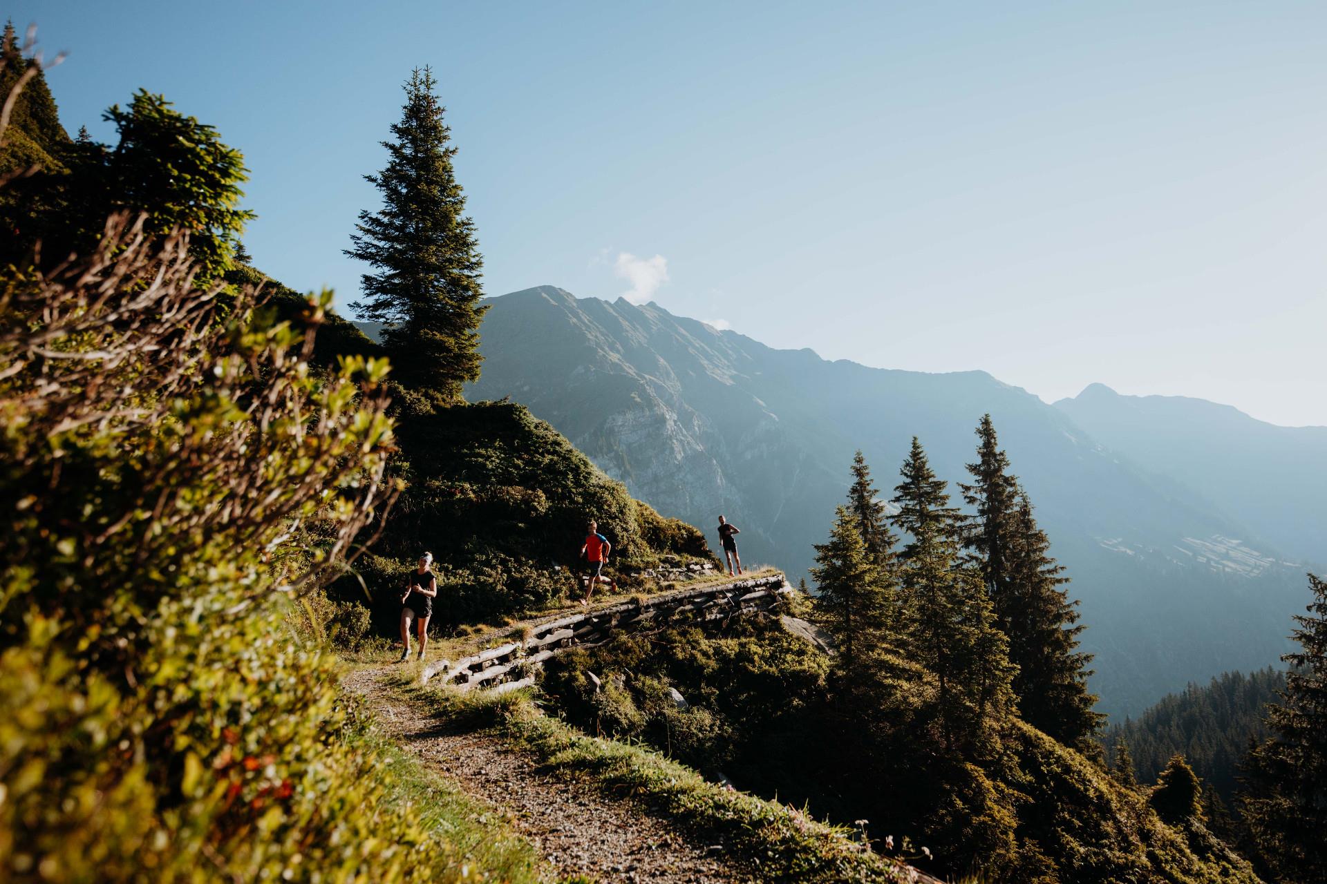 Running route Rinneralm - Platschjoch/Jaufen Ratschings/Racines 1 suedtirol.info