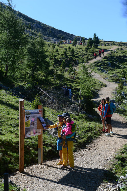 LATEMAR.NATURA Deutschnofen/Nova Ponente 1 suedtirol.info