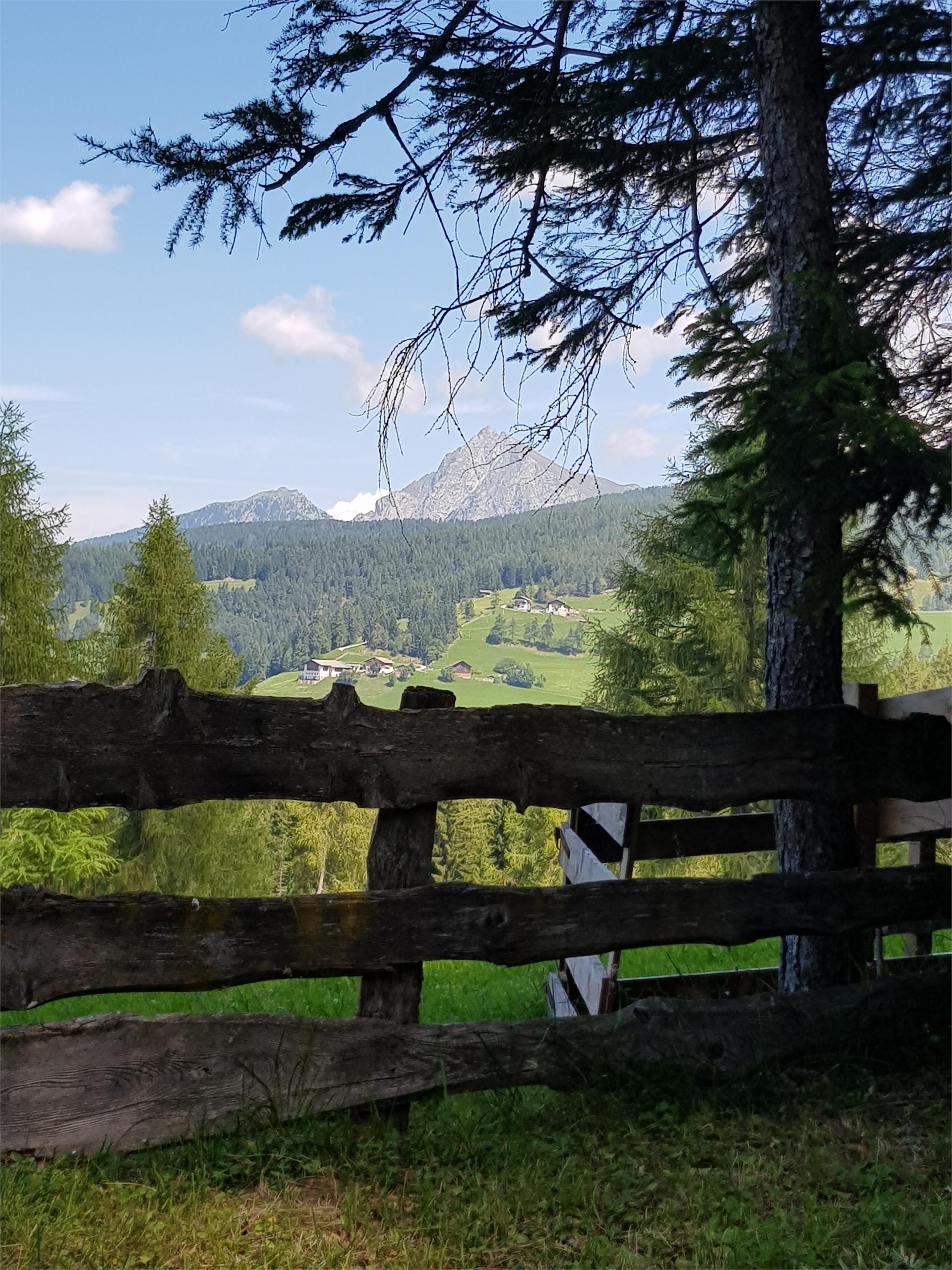 Lanzenschuster - Sattlerhütte Mölten 4 suedtirol.info