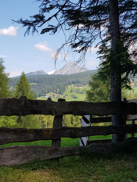 Malga Lanzenschuster - Rifugio Sattlerhütte Meltina 4 suedtirol.info