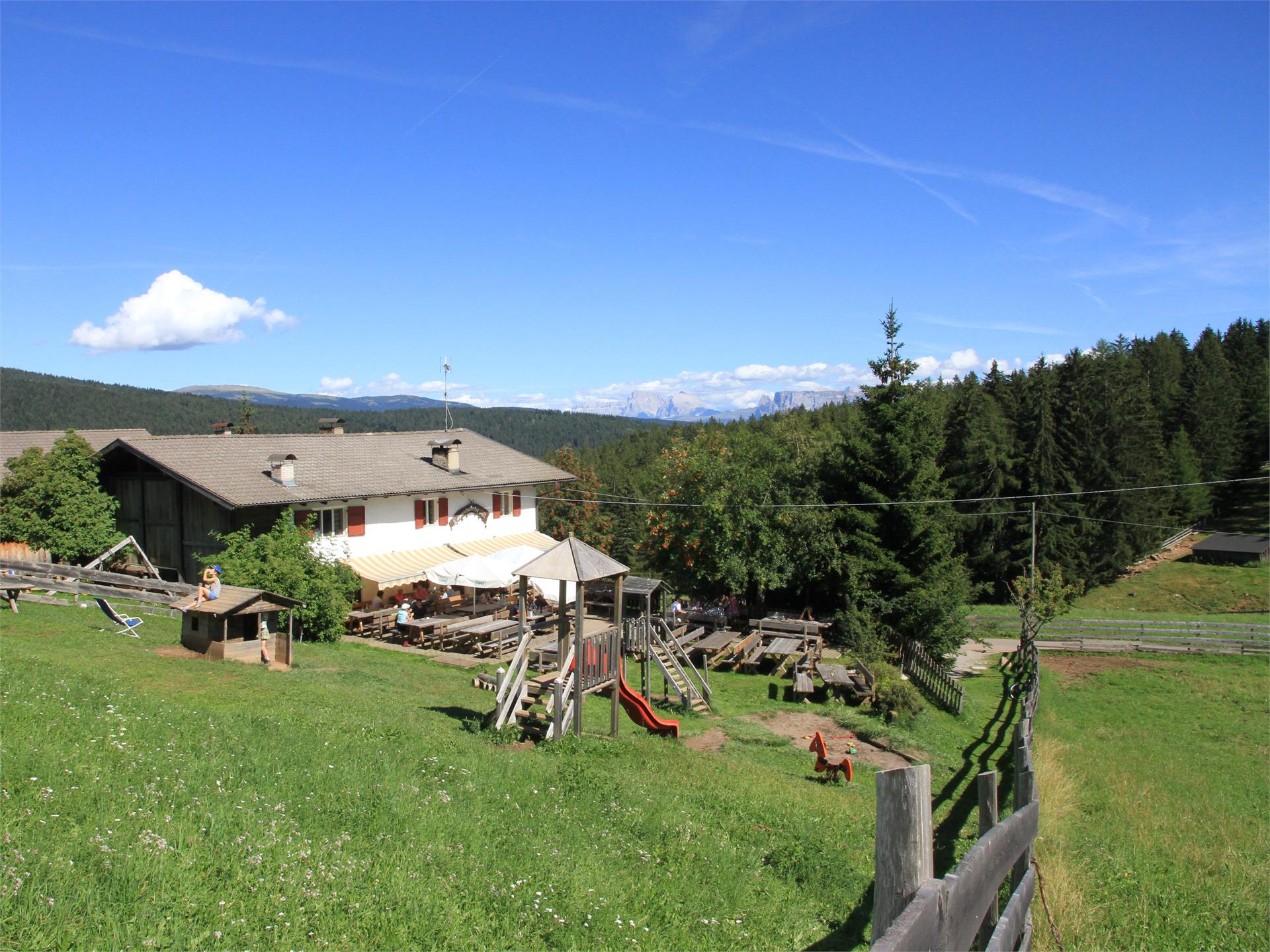 Lanzenschuster - Sattlerhütte Mölten 2 suedtirol.info