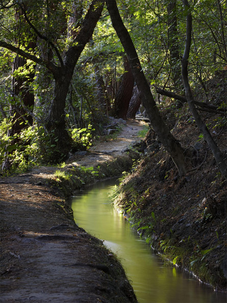 Latschander irrigation channel trail Kastelbell-Tschars/Castelbello-Ciardes 1 suedtirol.info