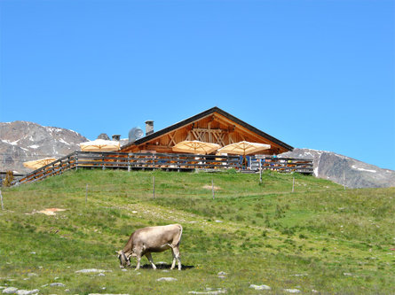 Cabinovia Lazaun Senales 2 suedtirol.info