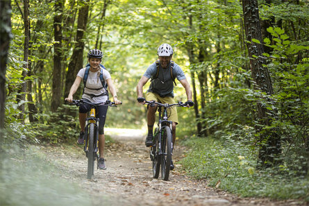 Bosco di Monticolo Eppan an der Weinstaße/Appiano sulla Strada del Vino 1 suedtirol.info