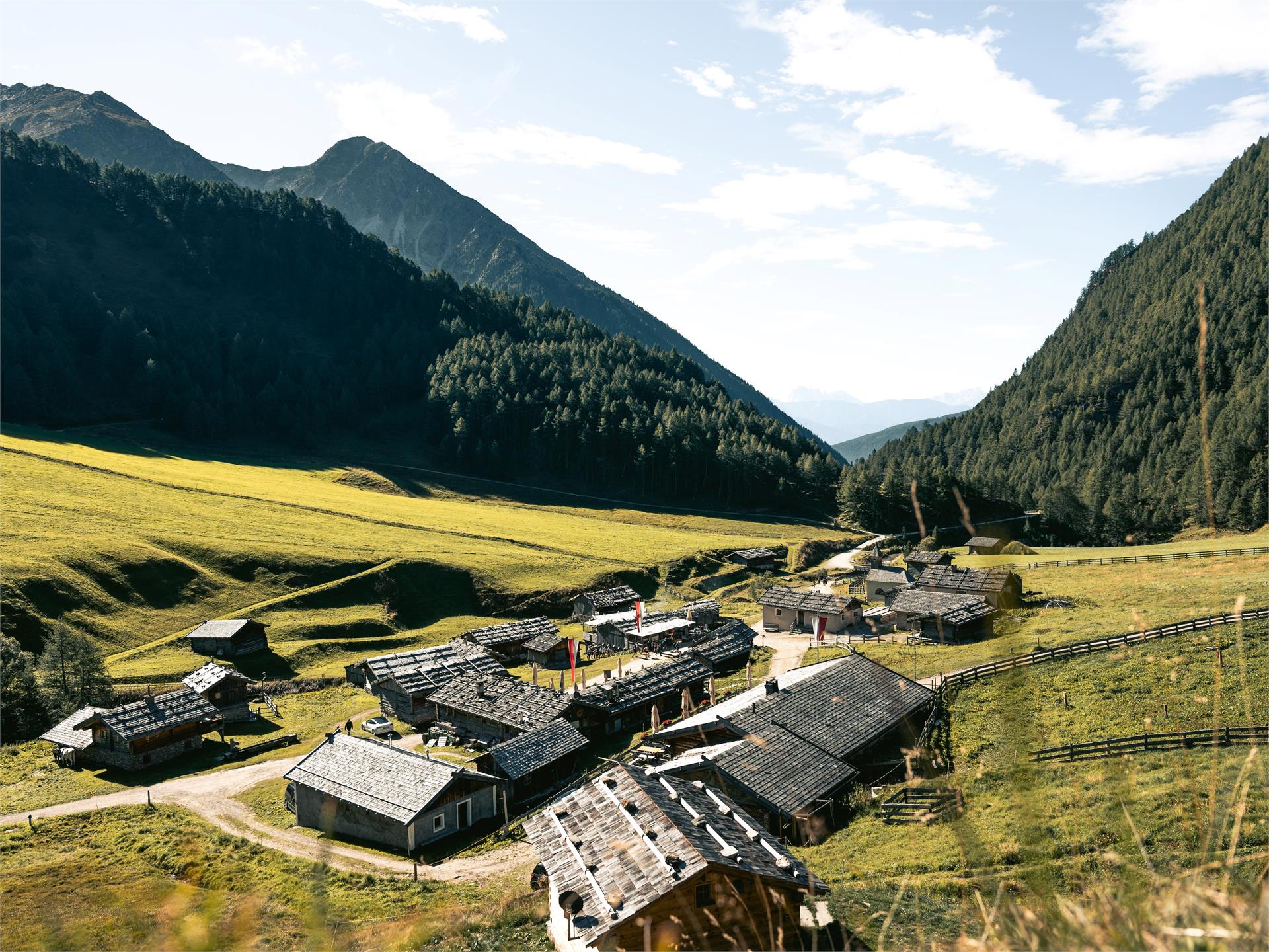 Sentiero del latte: Da Valles alla malga Fane Rio di Pusteria 1 suedtirol.info