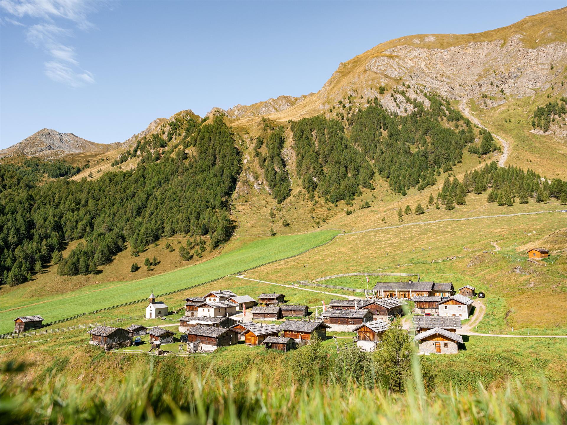 Sentiero del latte: Da Valles alla malga Fane Rio di Pusteria 2 suedtirol.info