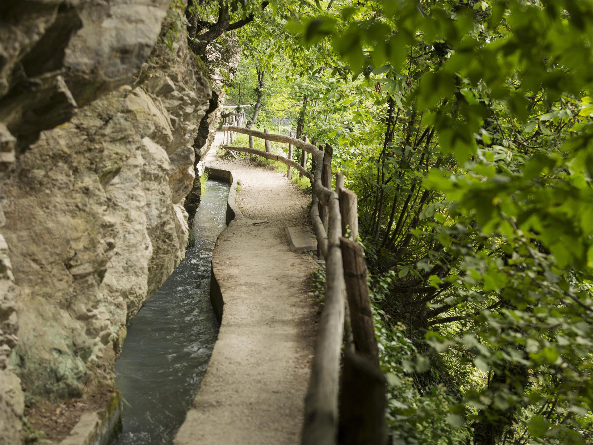 The Marlengo/Marling irrigation channel path Marling/Marlengo 2 suedtirol.info