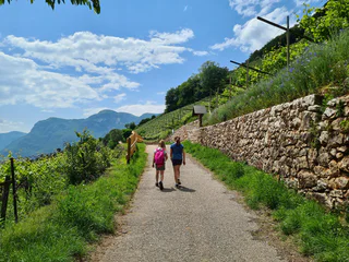Murundum Weg Nr. 4 - Rungg - Kurtatsch an der Weinstraße - #4 - suedtirol.info