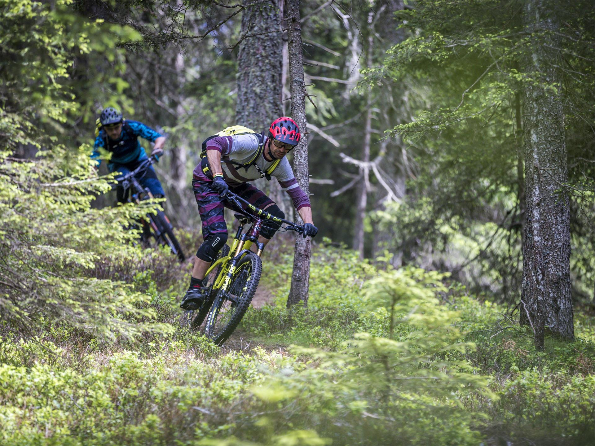 MTB Tour Circular track Monte San Candido/ Innichberg Innichen/San Candido 1 suedtirol.info