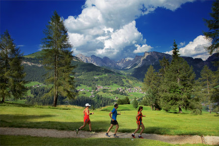 Monte Pana - Saltria Santa Cristina Val Gardena 2 suedtirol.info