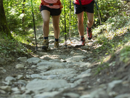 Marlinger Berg Mountain and Vigiljoch Marling/Marlengo 2 suedtirol.info