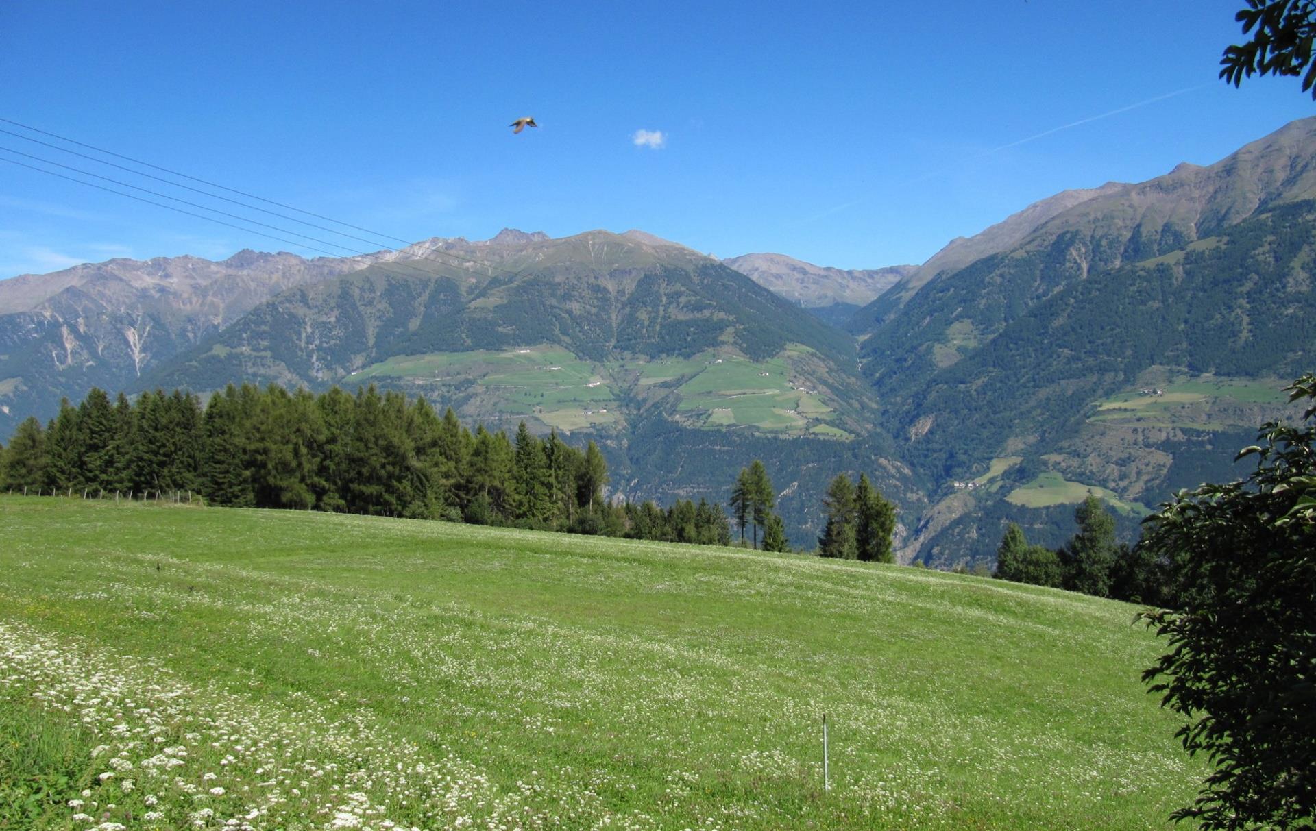 Hasl-Wieben Mountain Bike Tour and the Holy Hansen Trail Schlanders/Silandro 2 suedtirol.info