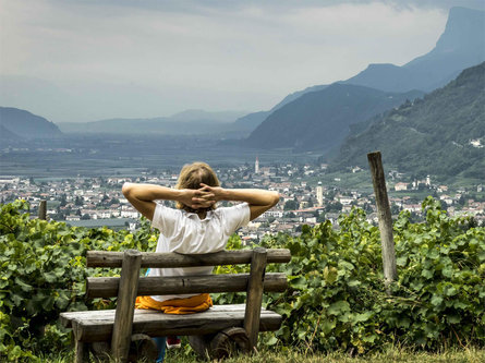 Marlinger high mountain trail from Tscherms Marling/Marlengo 3 suedtirol.info