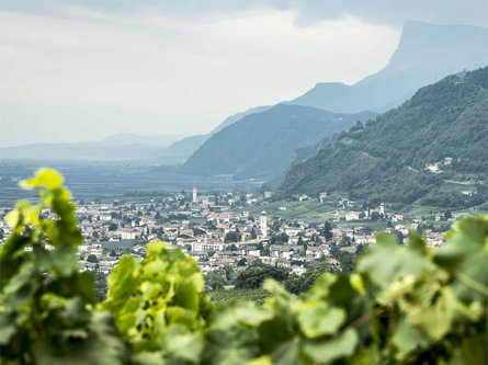 Marlinger high mountain trail from Tscherms Marling/Marlengo 2 suedtirol.info