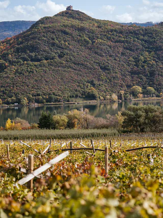 Mendel - Roen - Kaltern an der Weinstraße - #1 - suedtirol.info