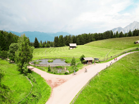 Mountain Bike Rundfahrt zur Vöraner Alm Vöran 1 suedtirol.info