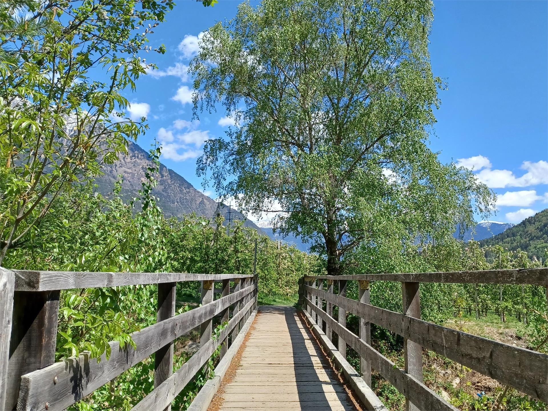 Mühlwaal Rundwanderweg – Wanderung an historischen Wasserläufen Partschins 7 suedtirol.info