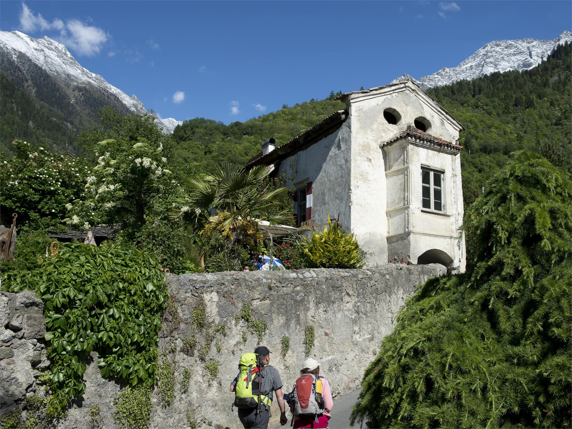 Mühlwaal Rundwanderweg – Wanderung an historischen Wasserläufen Partschins 5 suedtirol.info