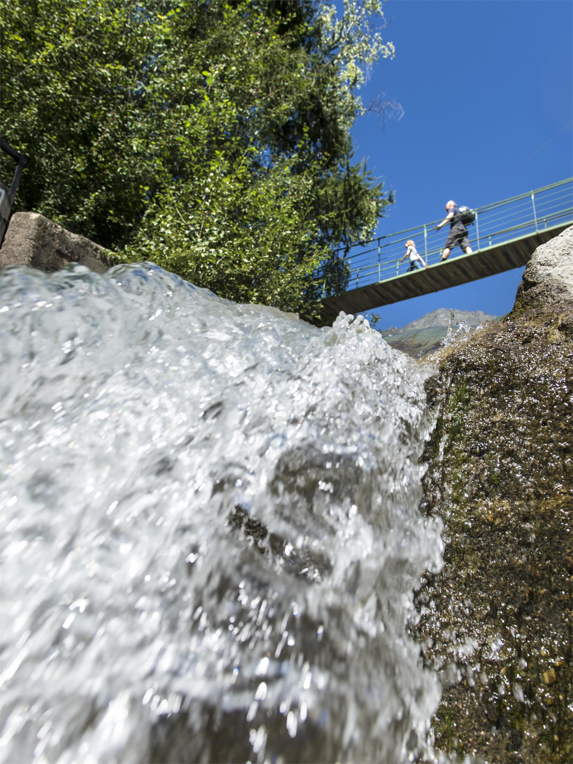 Mühlwaal Rundwanderweg – Wanderung an historischen Wasserläufen Partschins 4 suedtirol.info