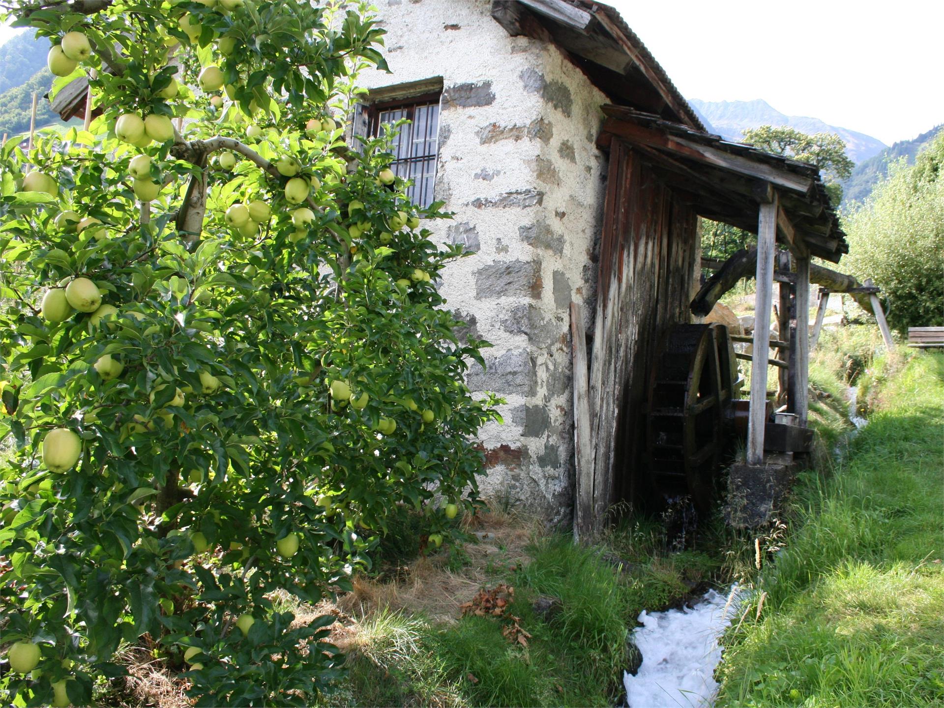 Mühlwaal Rundwanderweg – Wanderung an historischen Wasserläufen Partschins 1 suedtirol.info