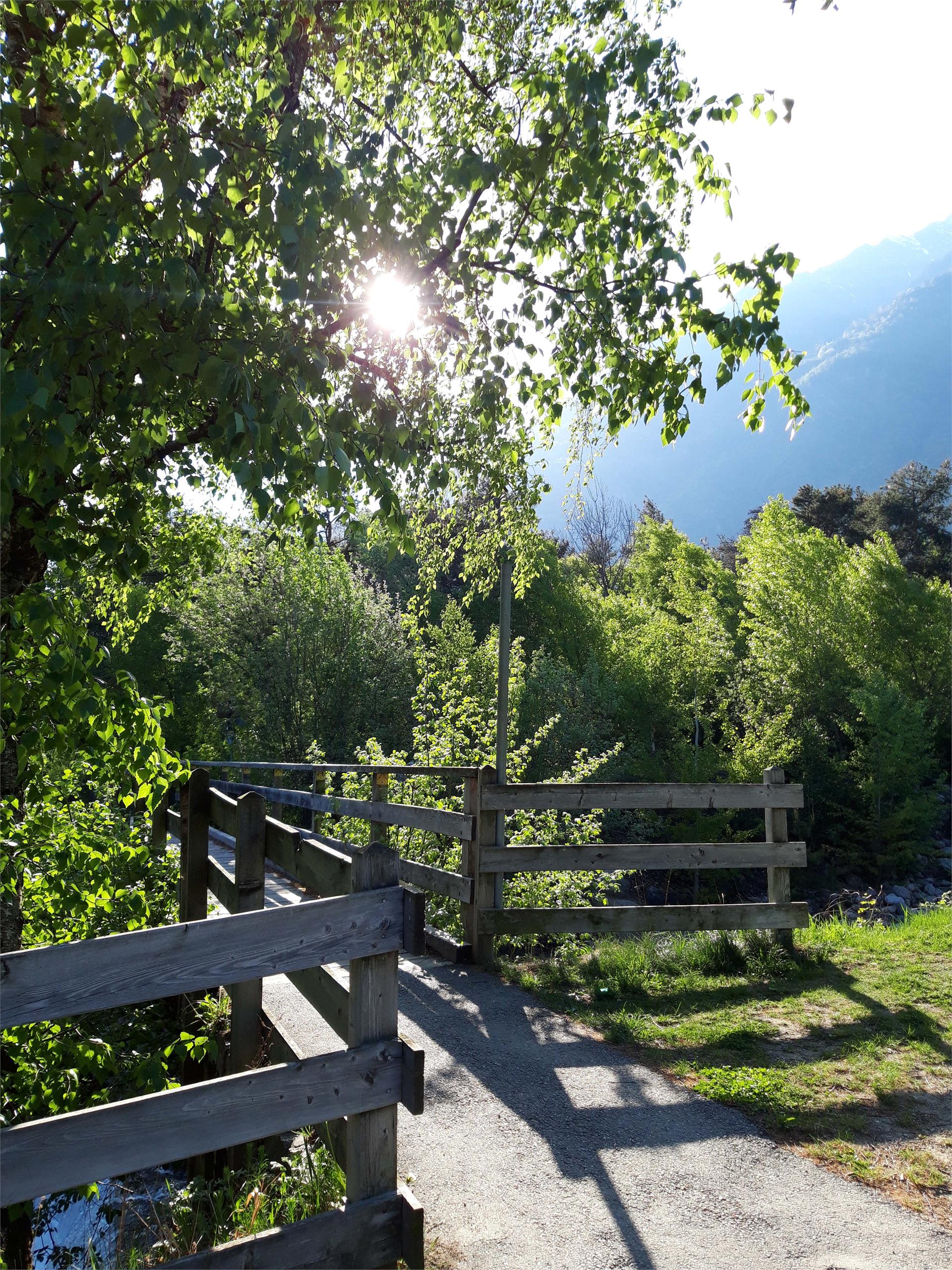 Mühlwaal Rundwanderweg – Wanderung an historischen Wasserläufen Partschins 6 suedtirol.info