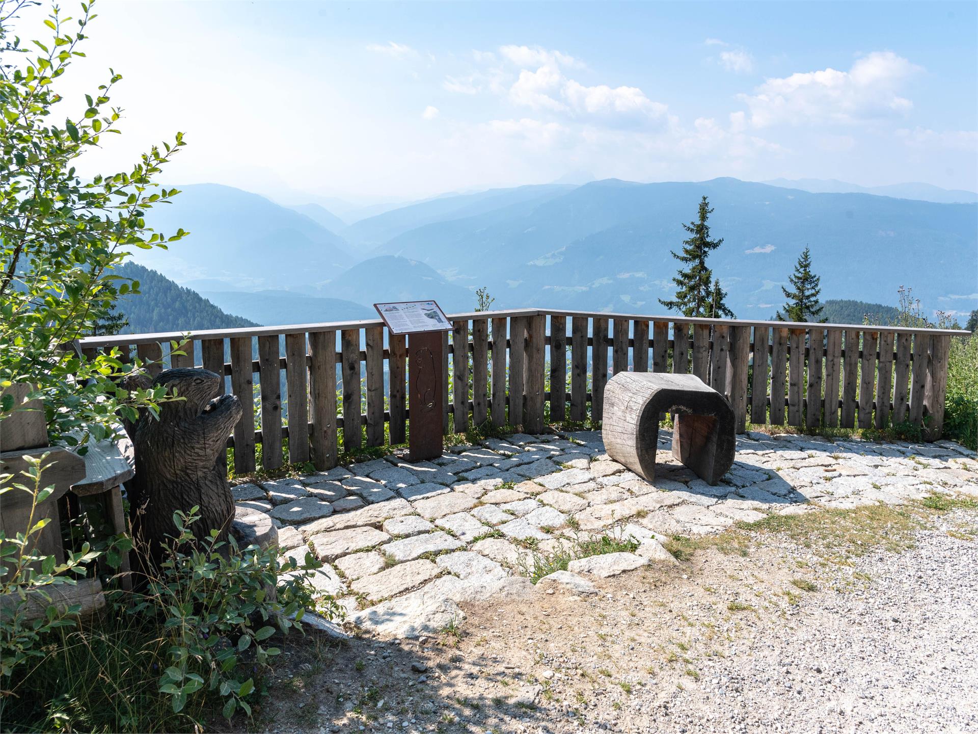 Marmot walk Mühlwald/Selva dei Molini 3 suedtirol.info