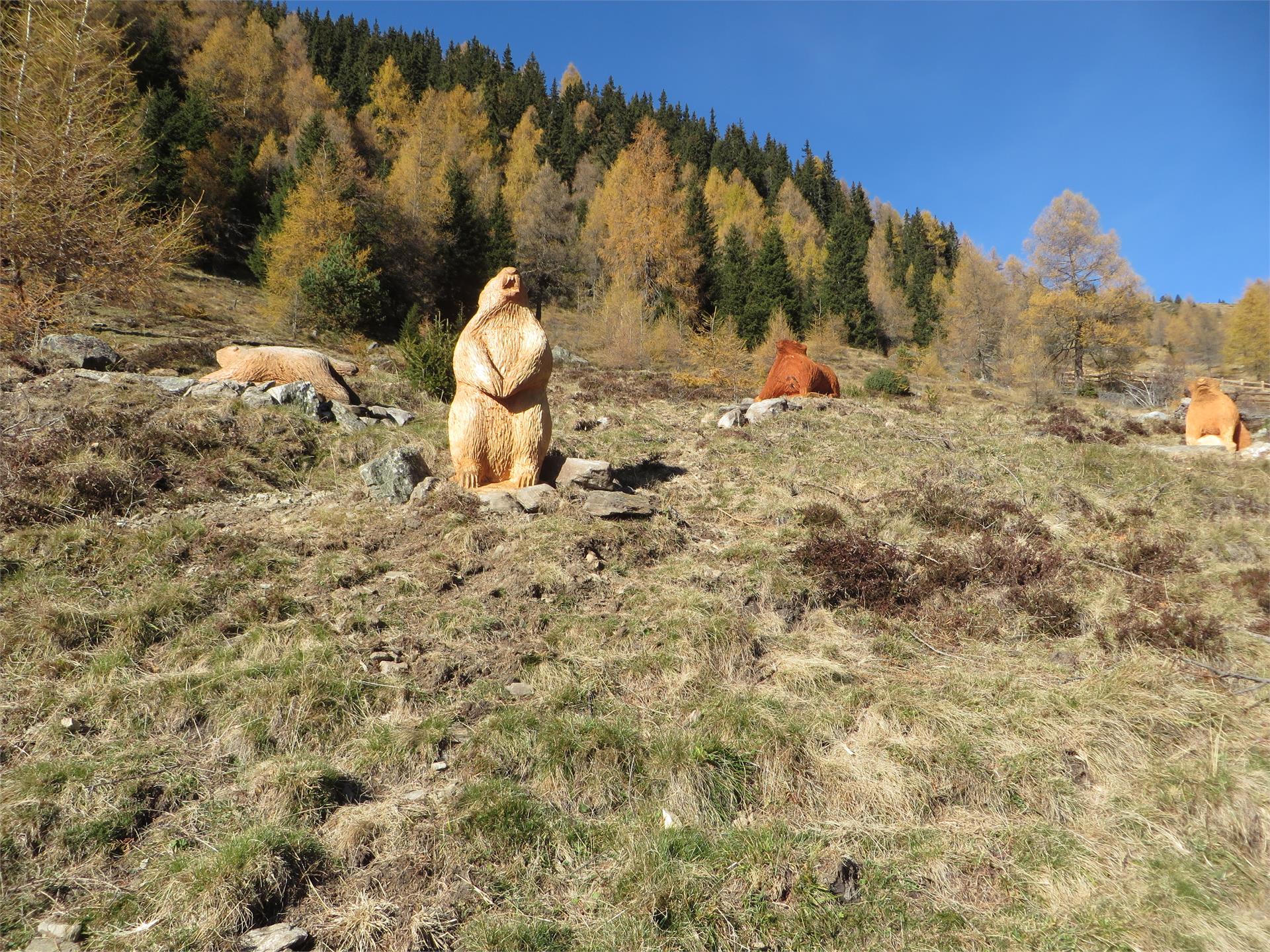 Marmot walk Mühlwald/Selva dei Molini 4 suedtirol.info