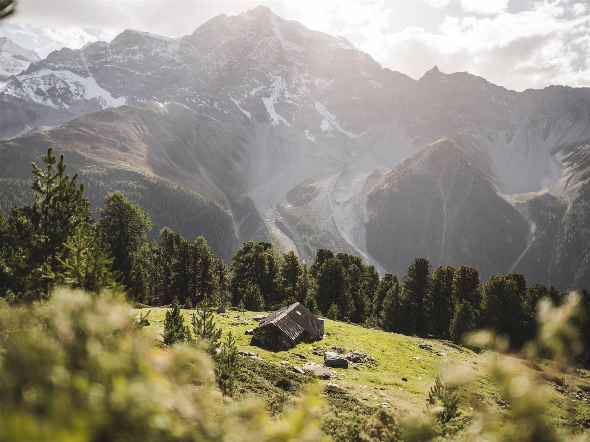 Marble Circuit Trail, Stage 5: From the Vellnairalm mountain pasture to Sulden/Solda Stilfs/Stelvio 1 suedtirol.info