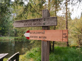 Naturerlebniswanderung von Niederrasen über das Wasserwaldile zum Biotop Rasner Möser - Rasen-Antholz - #11 - suedtirol.info