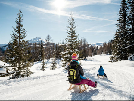 Natural toboggan run "Tru liösa Foram" in San Cassiano Badia 2 suedtirol.info