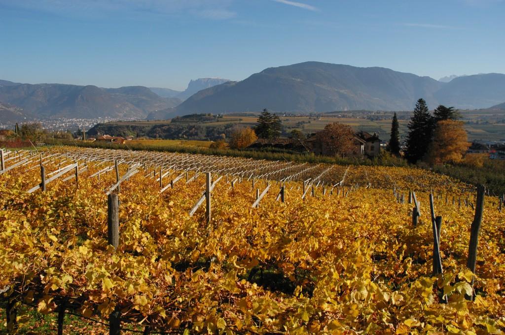 Natur- und Weinlehrpfad Girlan Eppan an der Weinstraße 2 suedtirol.info