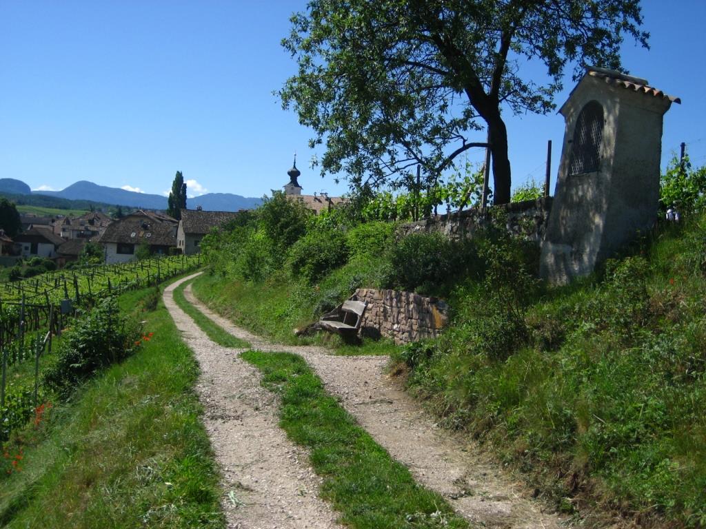 Natur- und Weinlehrpfad Girlan Eppan an der Weinstraße 1 suedtirol.info