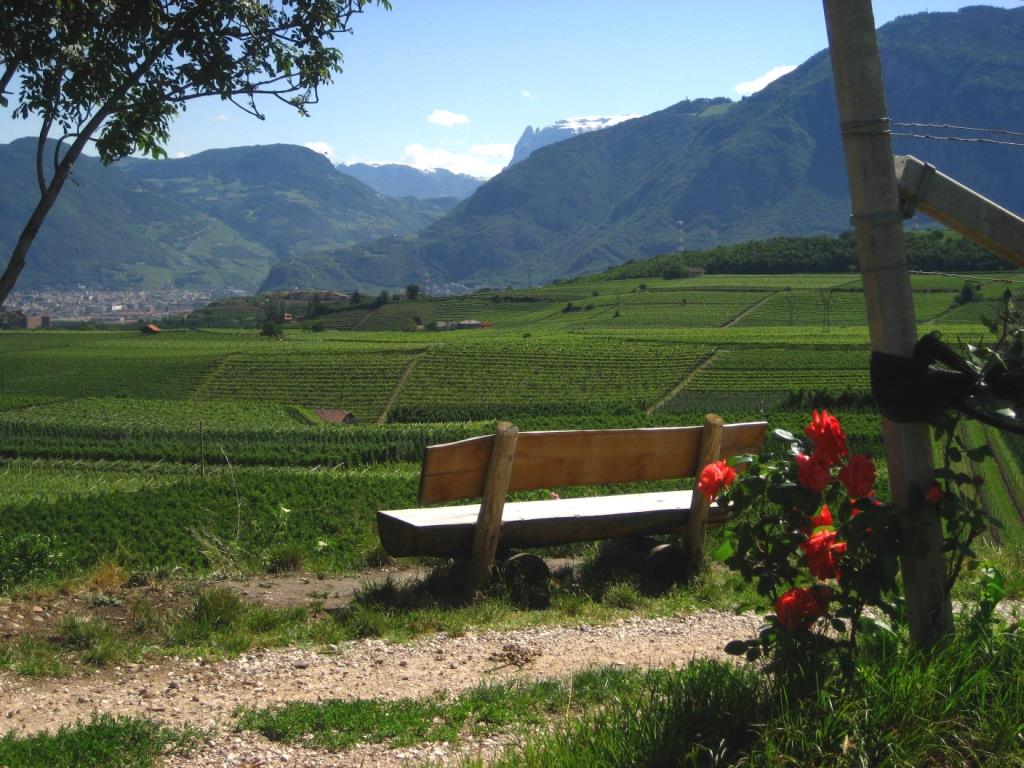 Natur- und Weinlehrpfad Girlan Eppan an der Weinstraße 4 suedtirol.info