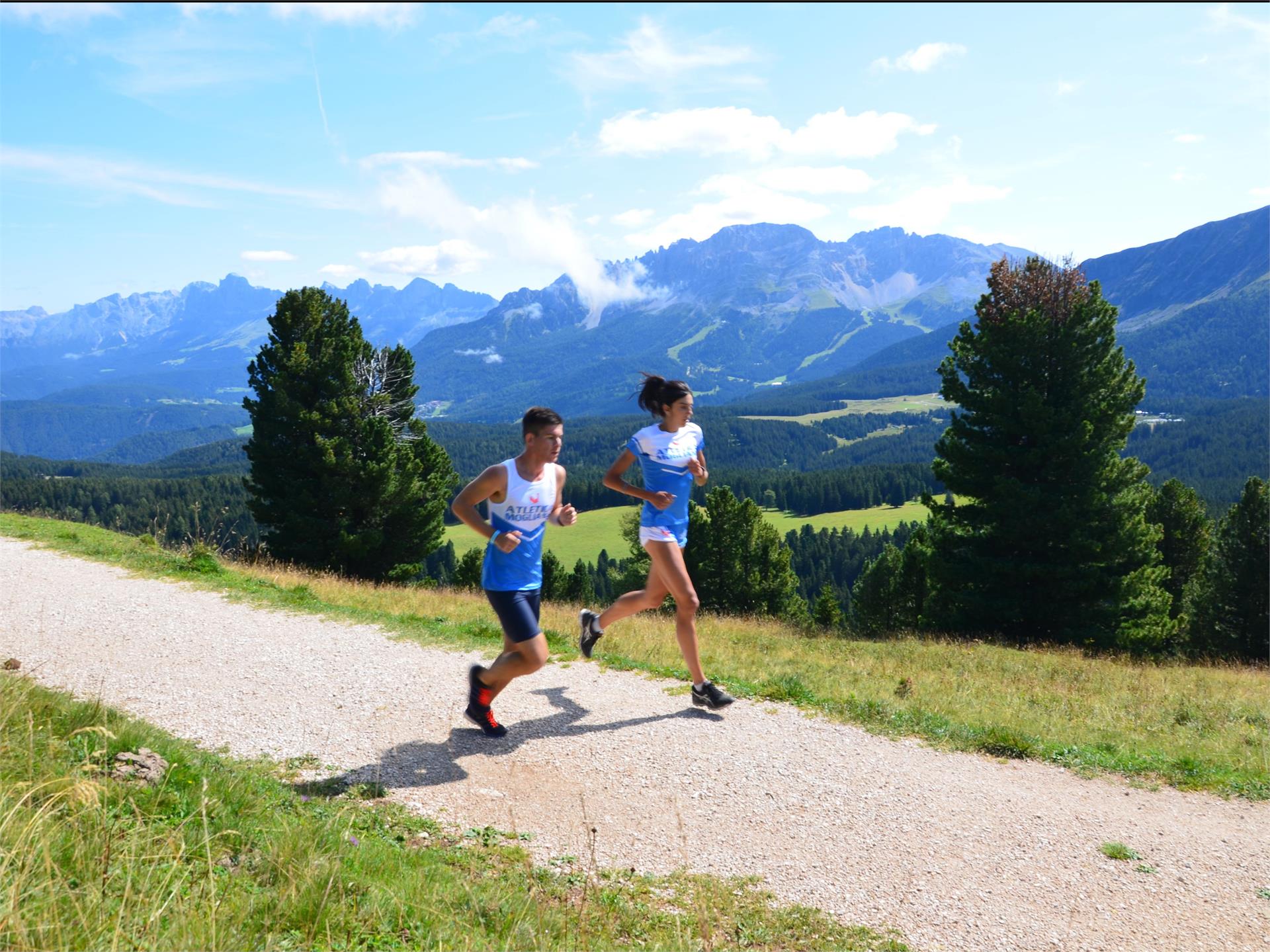 Corsa Capanna Nuova Aldein/Aldino 1 suedtirol.info