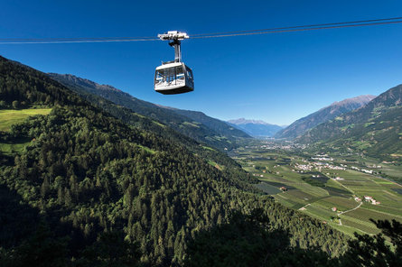 Nei Boschi del Monte Tramontana /Nörderberg di Parcines Plaus 1 suedtirol.info