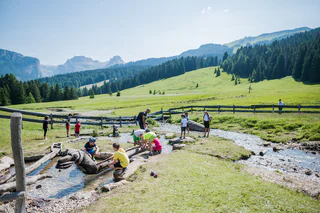 Naturerlebnisweg PanaRaida - St.Christina in Gröden - #7 - suedtirol.info