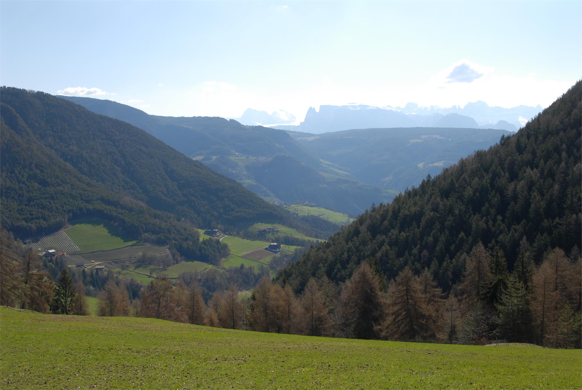 Nordic Walking: San Genesio - Vorderafing San Genesio Atesino 1 suedtirol.info